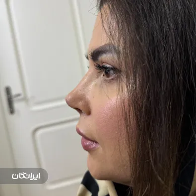 دکتر صمد سرنامه