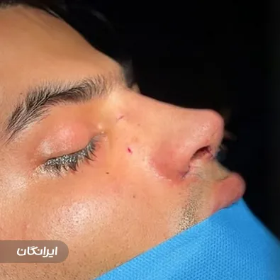 دکتر مجید عمادی