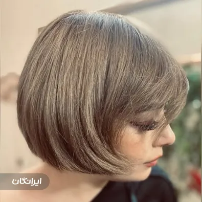 هیرکات آرتیست آرام رکنی