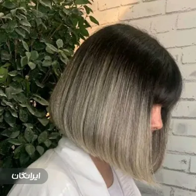 هیرکات مینا کاشانی