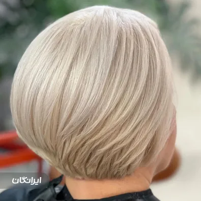 هیرکات مینا کاشانی