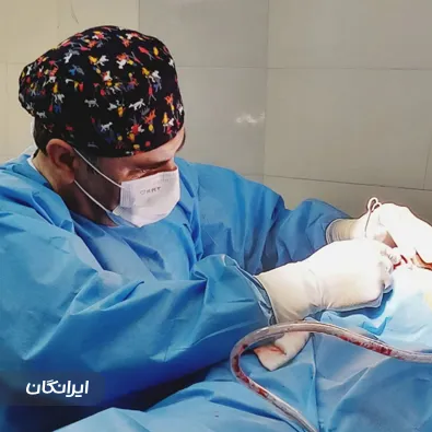 دکتر بابک مریدی