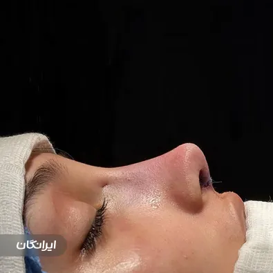 دکتر امیرمسعود غنی زاده