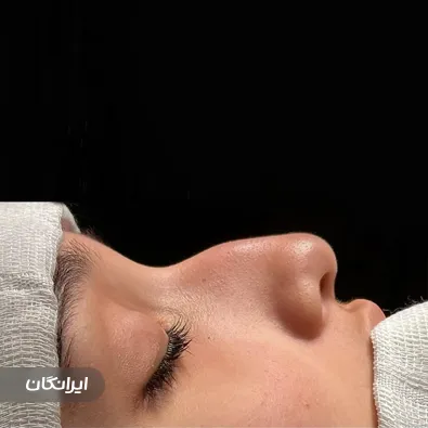 دکتر امیرمسعود غنی زاده