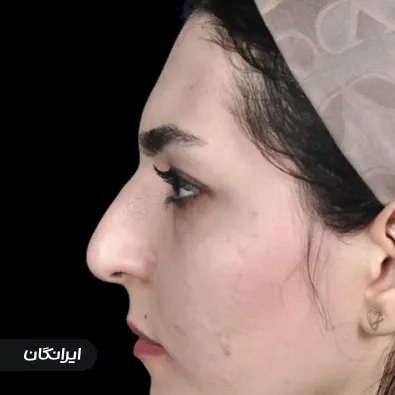 دکتر علیرضا لطفی