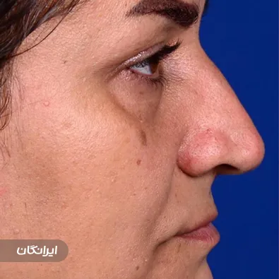 دکتر وحیده هاتف تبار