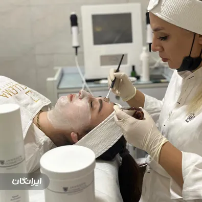 فیشیالیست الناز فرجی