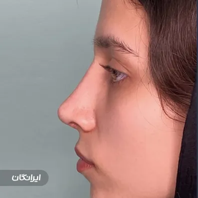 دکتر احمدرضا احمدی