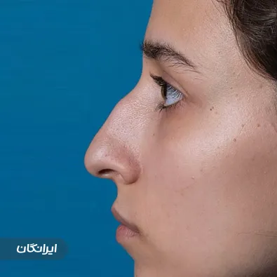 دکتر احمدرضا احمدی