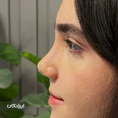 دکتر حسین فرخنده