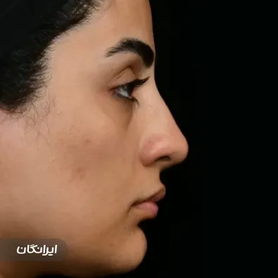 دکتر شاهین میلانی