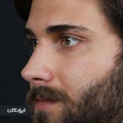 دکتر الهام اسمعیلی