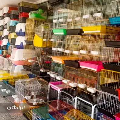 پت شاپ بوستان