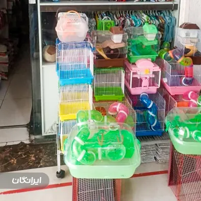 پت شاپ بوستان