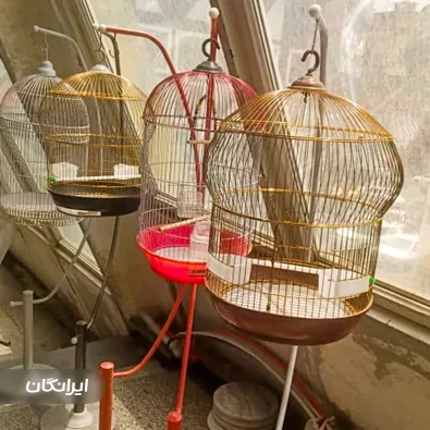 پت شاپ بوستان