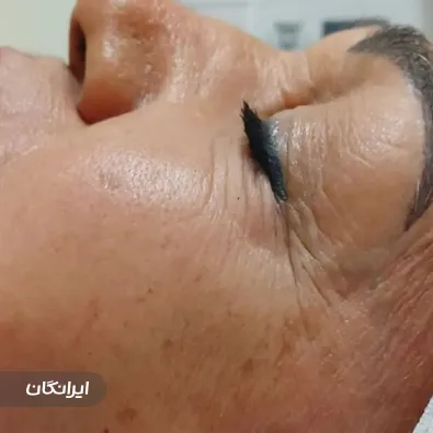 فیشیالیست شیرین قدرتی