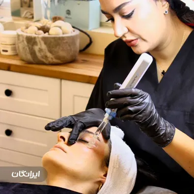 فیشیالیست مائده شالیجی