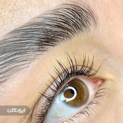 آکادمی الهه بشارتی نیا