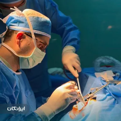 دکتر مسعود زرین قلم