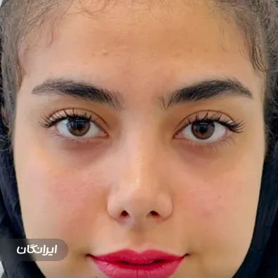 دکتر مسعود زرین قلم