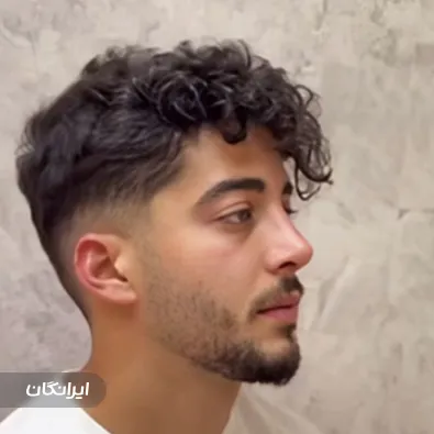 دکتر ادیب ملایی