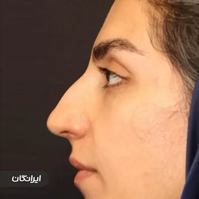 دکتر فرزان رضایی