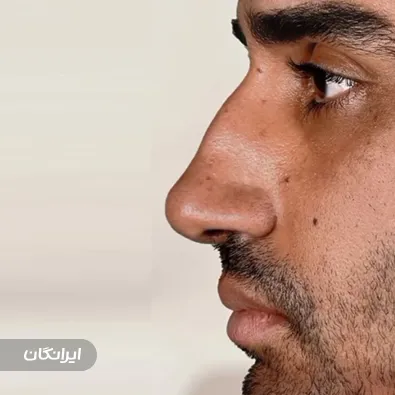 دکتر نیلوفر مجدی نسب