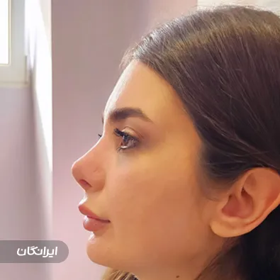 دکتر نفیسه خلیلی