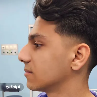 دکتر نفیسه خلیلی