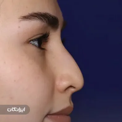 دکتر مهدی بمانعلی