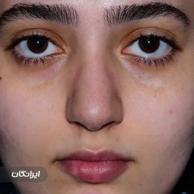 دکتر محمد مجیدی