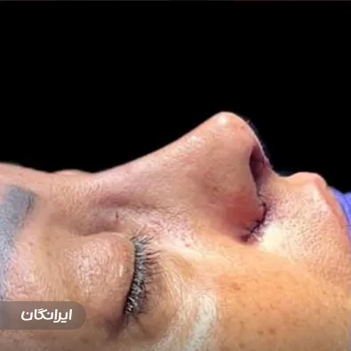 دکتر شهریار شعبانی نیا