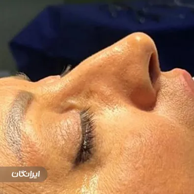 دکتر شهریار شعبانی نیا