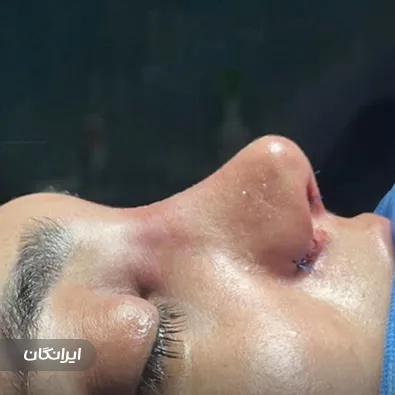 دکتر شهریار شعبانی نیا