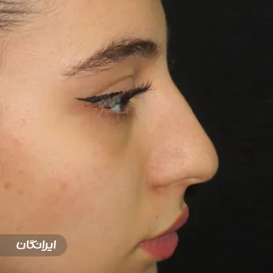 دکتر حمید حمدزاده