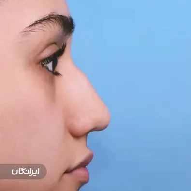 دکتر عبدالسعید ظفرمند