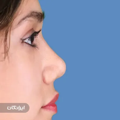 دکتر عبدالسعید ظفرمند