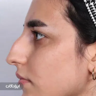 دکتر مجید ملکی