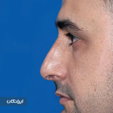 دکتر شاهین رجائیه