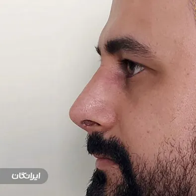 دکتر شاهین رجائیه