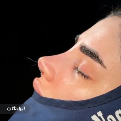 دکتر ناصر اعلم ملکی