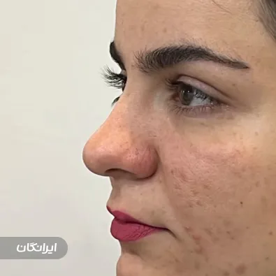 دکتر محمودحسین طلوعی