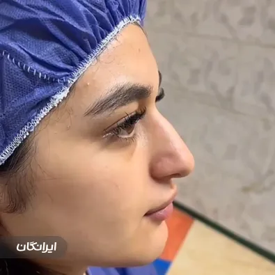 دکتر شیرین گل محمدی