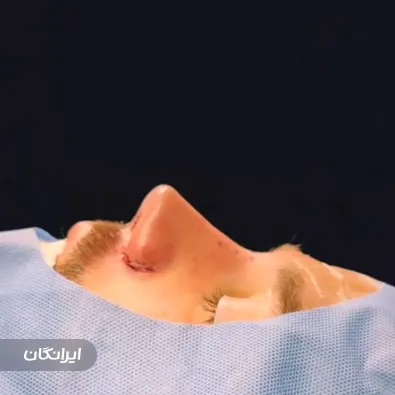 دکتر علیرضا فقیهی