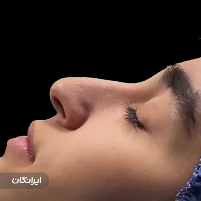 دکتر حسین بیات