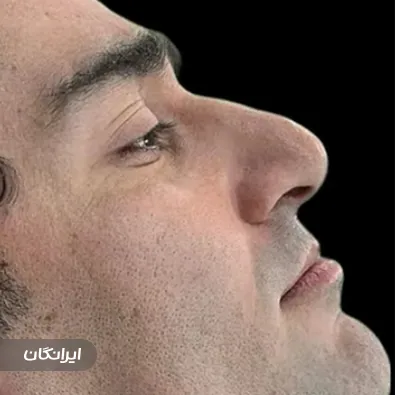 دکتر ندا افسر