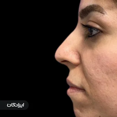 دکتر مجتبی نادیان