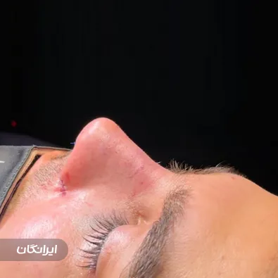 دکتر سهند قلعه باغی