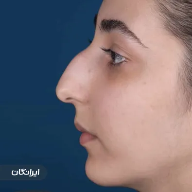 دکتر الهام کابلی