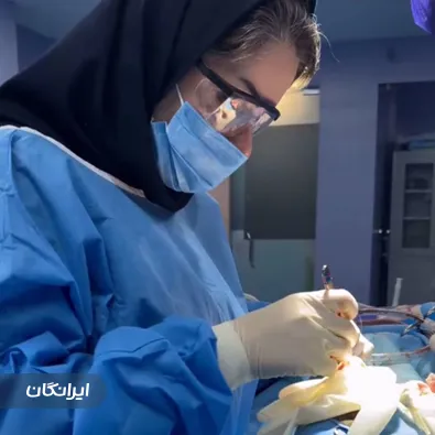 دکتر سمیه حیدری